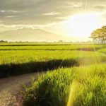 Doa Pagi Hari yang Biasa Dibaca oleh Rasulullah