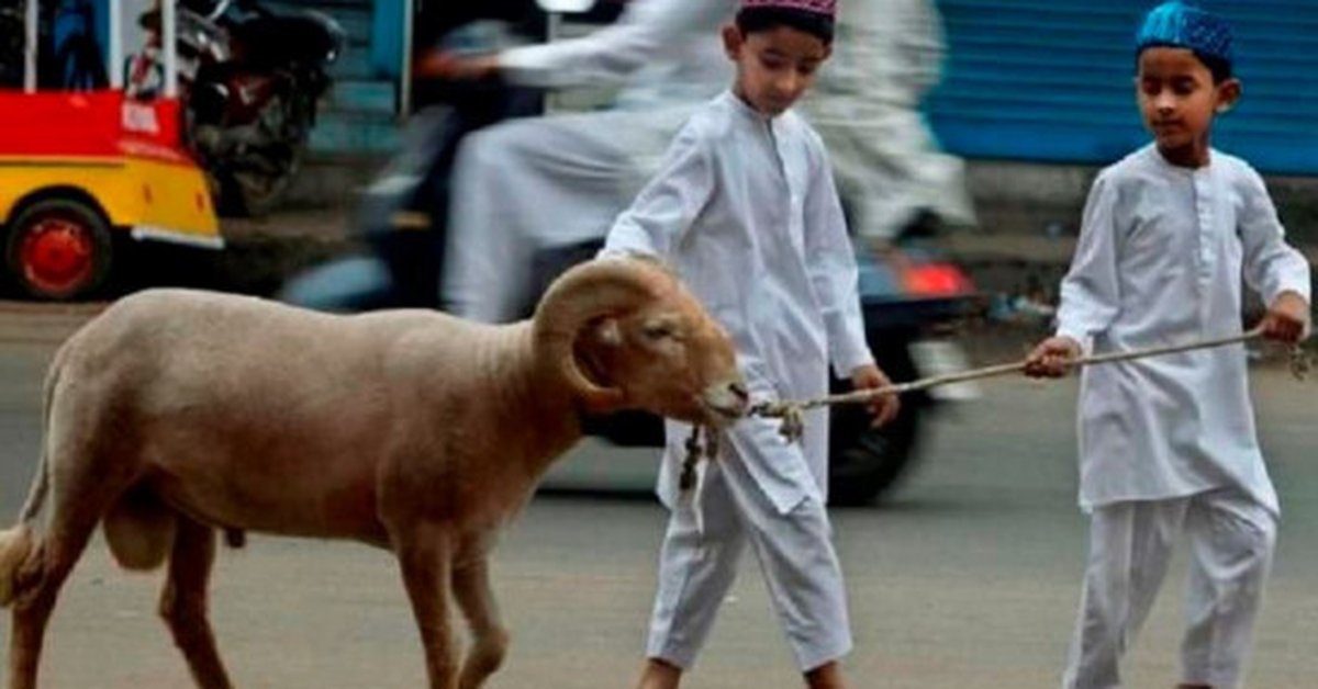 3 Keutamaan Berkurban di Hari Raya Iduladha Menurut Al-Qur’an dan Hadis