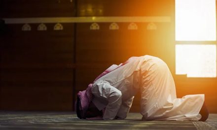 Tata Cara Shalat Dhuha Lengkap Beserta Niat, Waktu dan Doanya