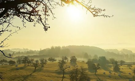 Doa Jumat Pagi Penuh Berkah Yang Dianjurkan Rasulullah SAW