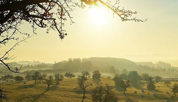 Doa Jumat Pagi Penuh Berkah Yang Dianjurkan Rasulullah SAW